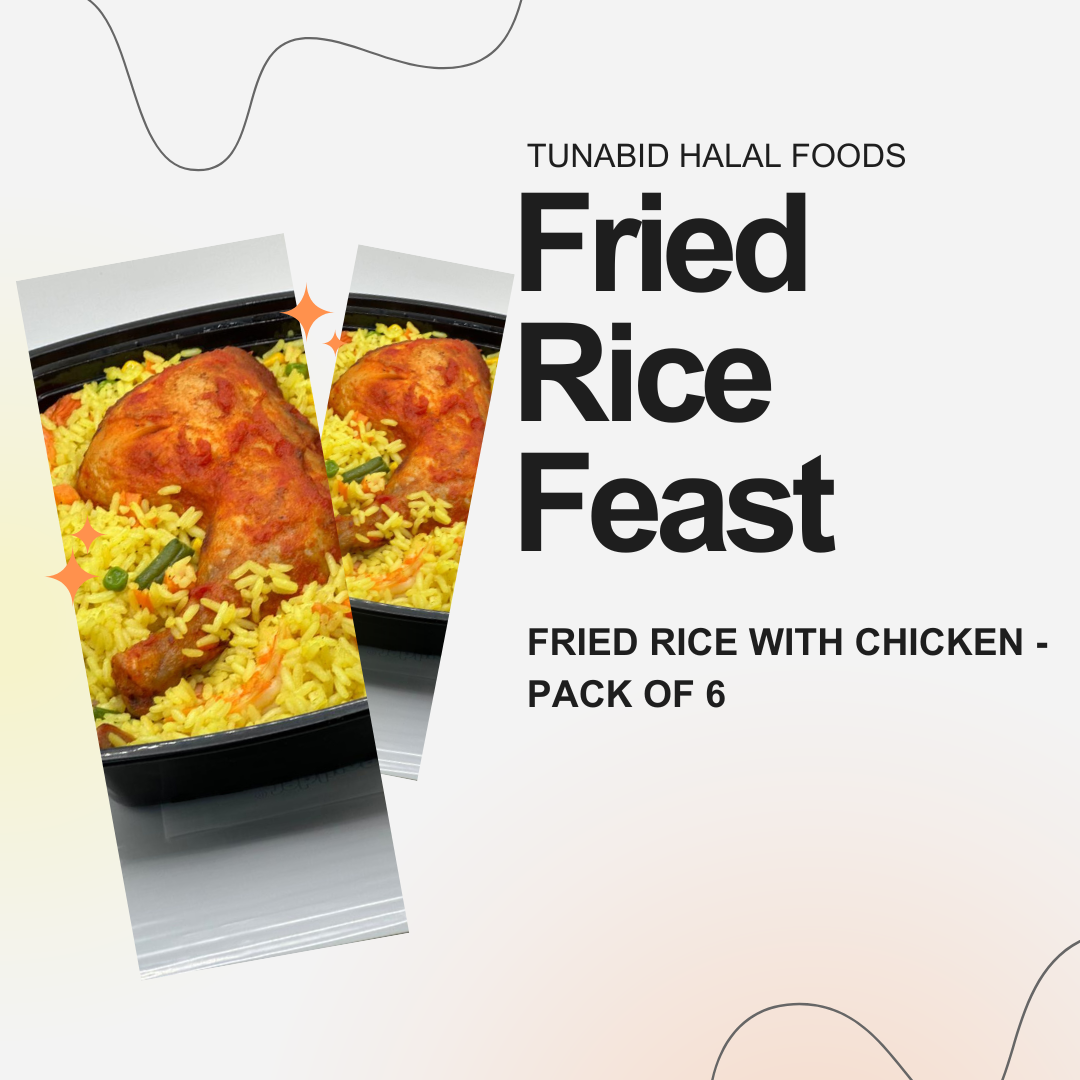 Fried Rice Feast - Shrimp Fried Rice with Chicken (Pack of 6, Ready-to-Eat)
